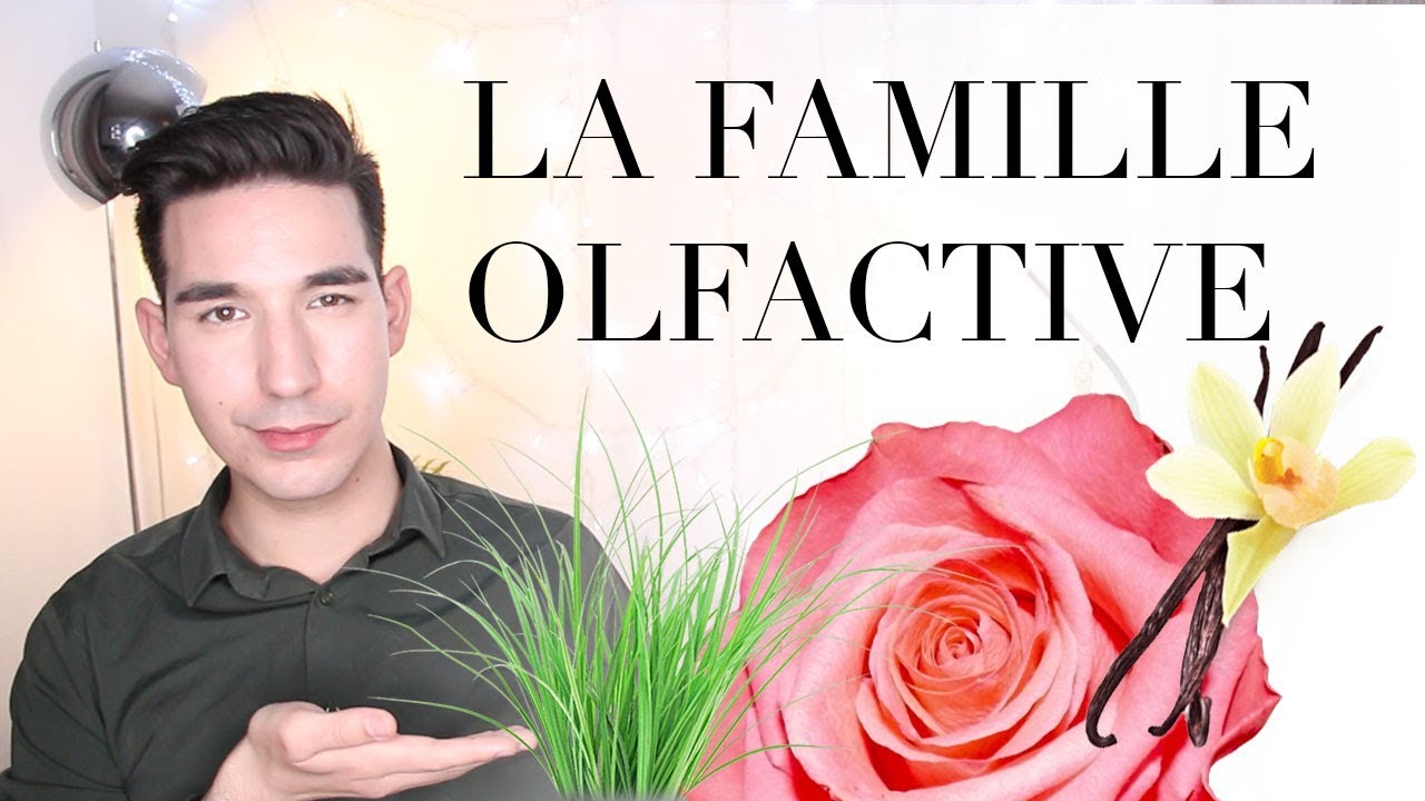 LES FAMILLES OLFACTIVES | COURS 3