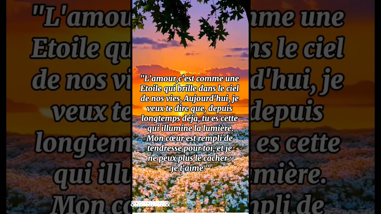 Messages d'amour pour dire je t'aime ♥️ poème #amour #partenaires   #citation #love  #lettre #poèmes